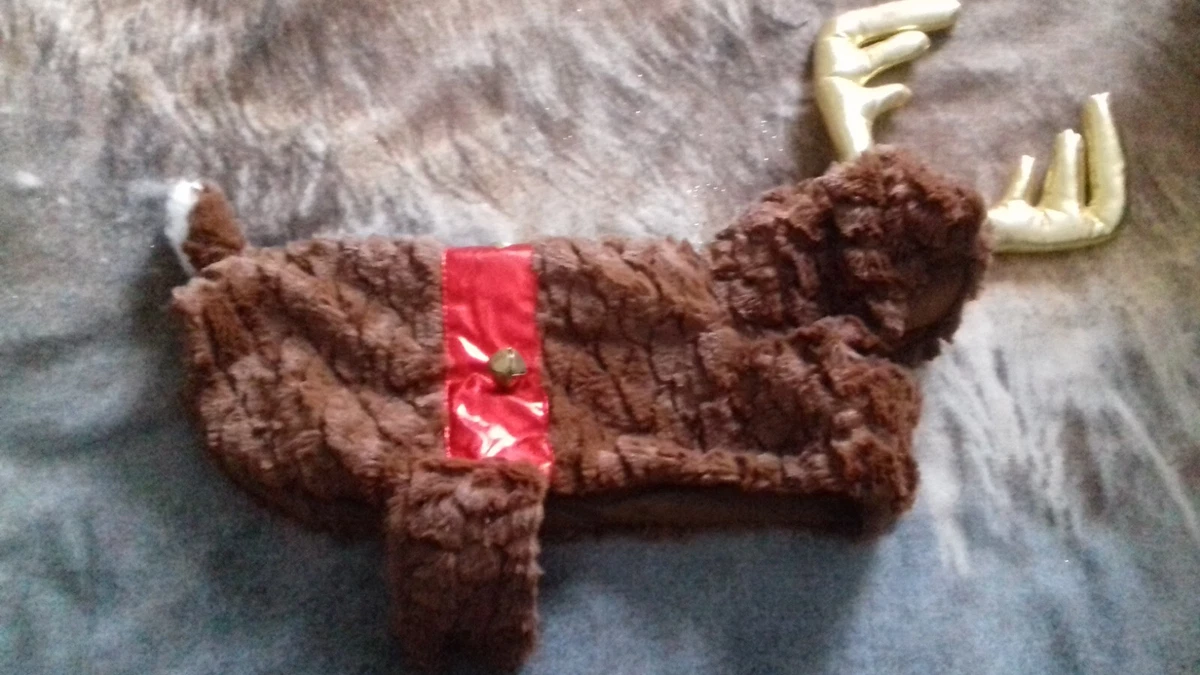 Dog clearance christmas jacket