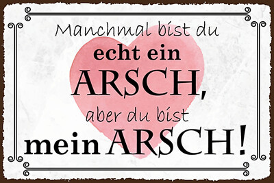 Holzschild 18x12 manchmal bist du ein ARSCH aber Wand Deko Bar Kneipe Sammler Ge