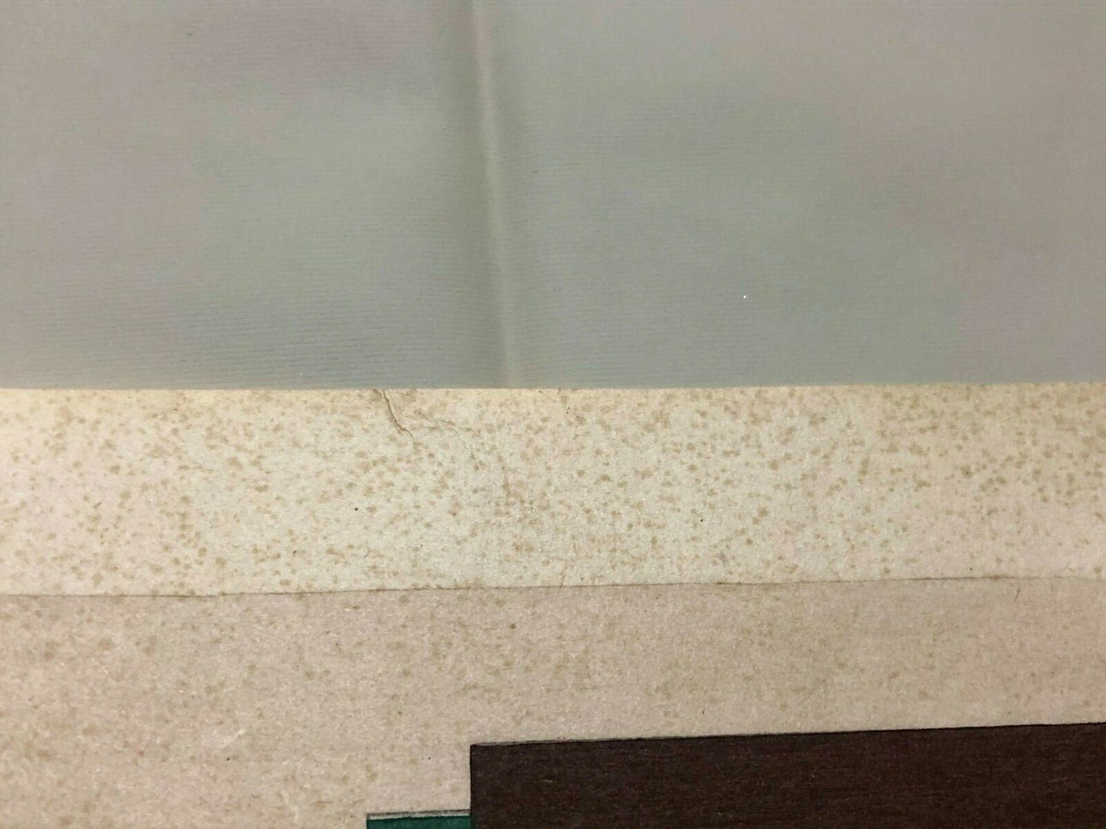 Foto 7 di 11