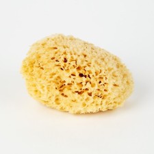 Ottosson Fargmakeri - Natural Sponge 12 cm