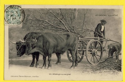 cpa Cantal AURILLAC Eine KUPPLUNG AUVERGNE BOEUFS Team of Oxes à Victor BREANT