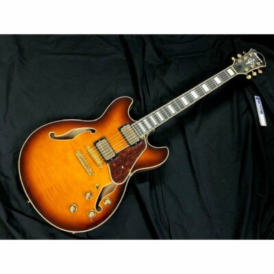 Ibanez Artcore Expressionist Series Electric Guitar AS93FM