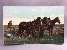 c 1910 FARM Four HORSE TEAM & PLOW Postcard ANTIQUE