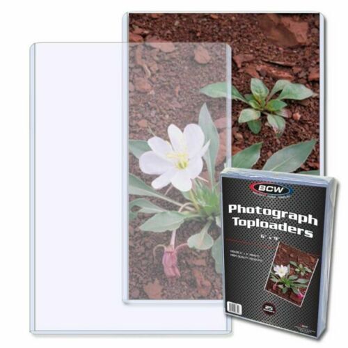 Toploader Plastic BCW 6x9 Toploader Hard Plastic Rigid Topload Photo Holders (25 per pack ...