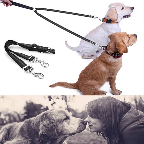 dog leash that extends