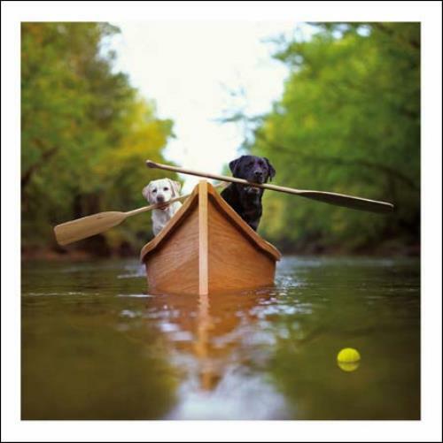Lewie & Clark Explorers Loose Leashes Greeting Card Blank Inside Any Occasion