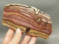 Candy Opal Unpolished Rough Rock Stone Slab Bacon Opal #O1