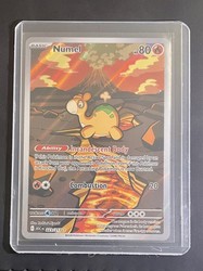 Numel 223/217 Ascended Heroes Illustration Rare
