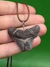 Real Megalodon Ancestor Fossil Shark Tooth Necklace  Pick your Cord Color 