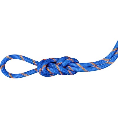 Mammut 9.0 Alpine Sender Dry Rope - drei Normen Seil - 50 m