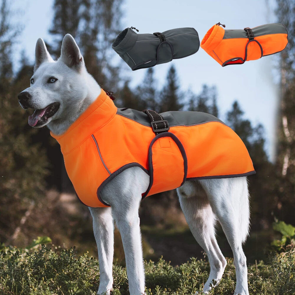 Vêtements pour chiens de taille S pour les grands chiens imperméable avec  bonnet de pluie et bande réfléchissante réglable de poche Grand imperméable  pour chien