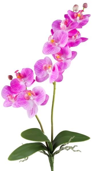 artplants Kunst Blume Phalaenopsis Orchidee Kruzber, Steckstab, Lila, 55Cm-image