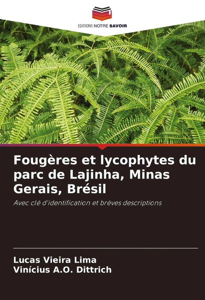 Lucas Vieira Lima (U. A.) | FougèRes Et Lycophytes Du Parc De Lajinha, Minas...-image