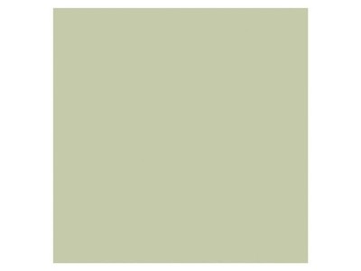 SPAREX  Farbe 1-Ltr. Gruen Eaton Staple
