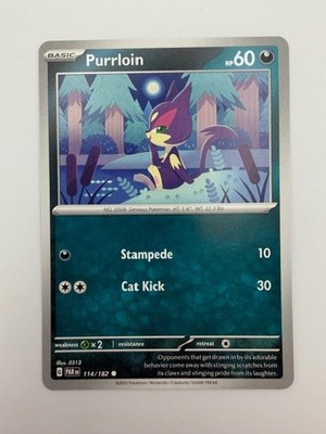 #114/182 Purrloin Normal Common - Pokémon TCG SV04: Paradox Rift English NM