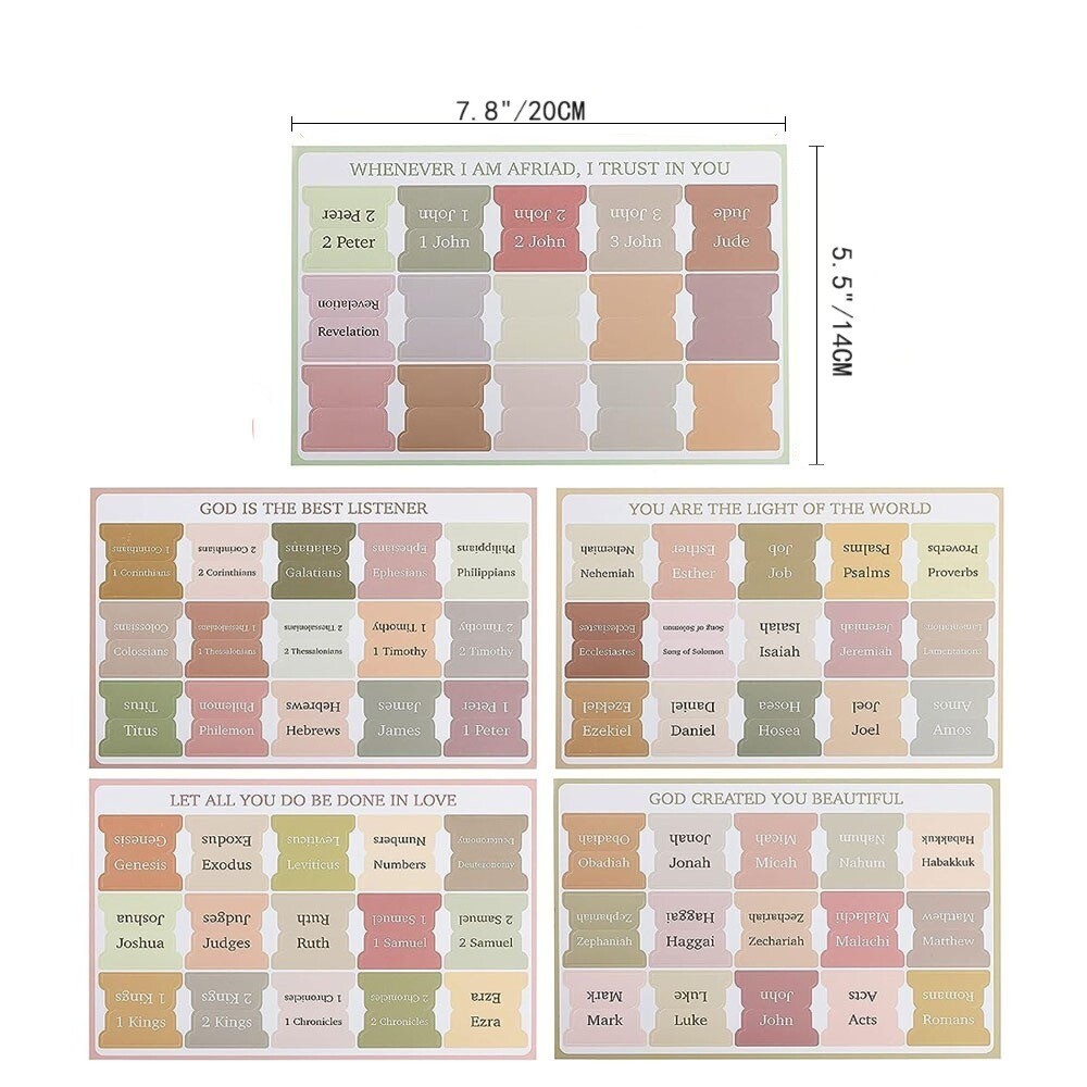 Colorful Laminated Study Bible with Verse Tabs for Easy Navigation-image