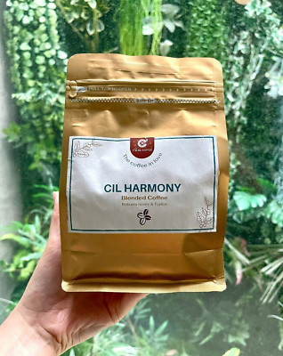 Vietnamese Coffee Robusta honey & Typica Blended Coffee 500G Coffee Bean