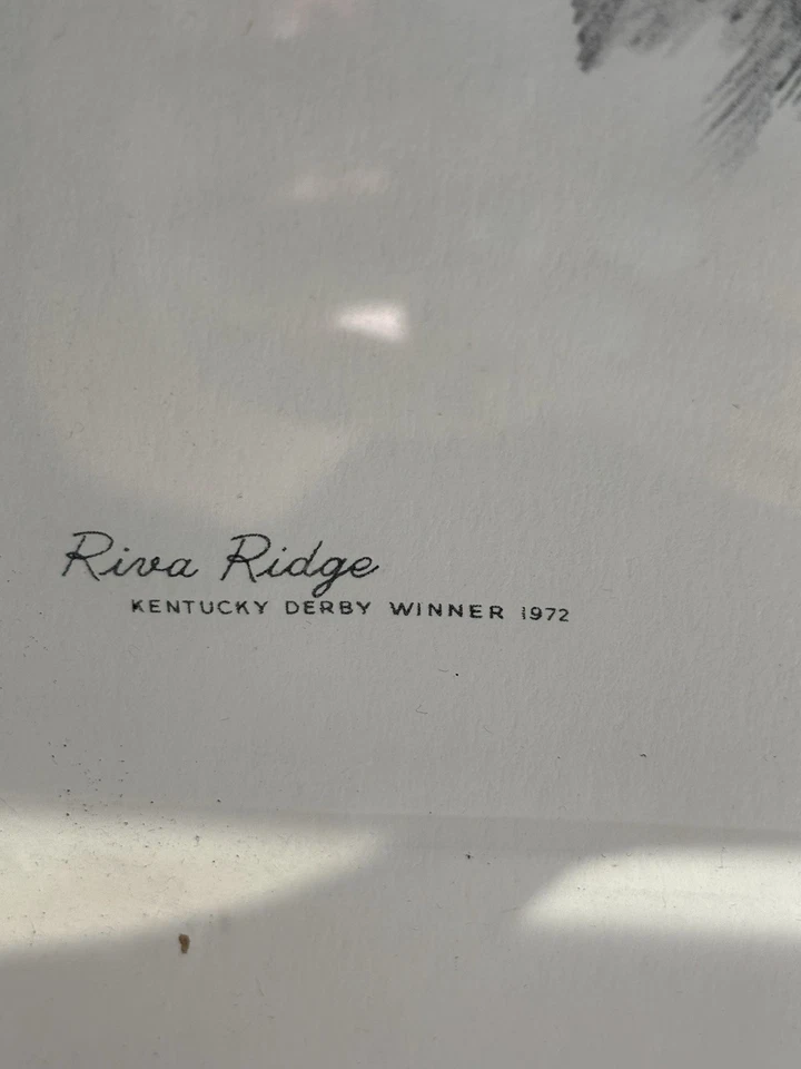 Ganadora del Derby de Kentucky 1972 Riva Ridge dibujo en marco por Stanford Fenelle Foto 4 de 4