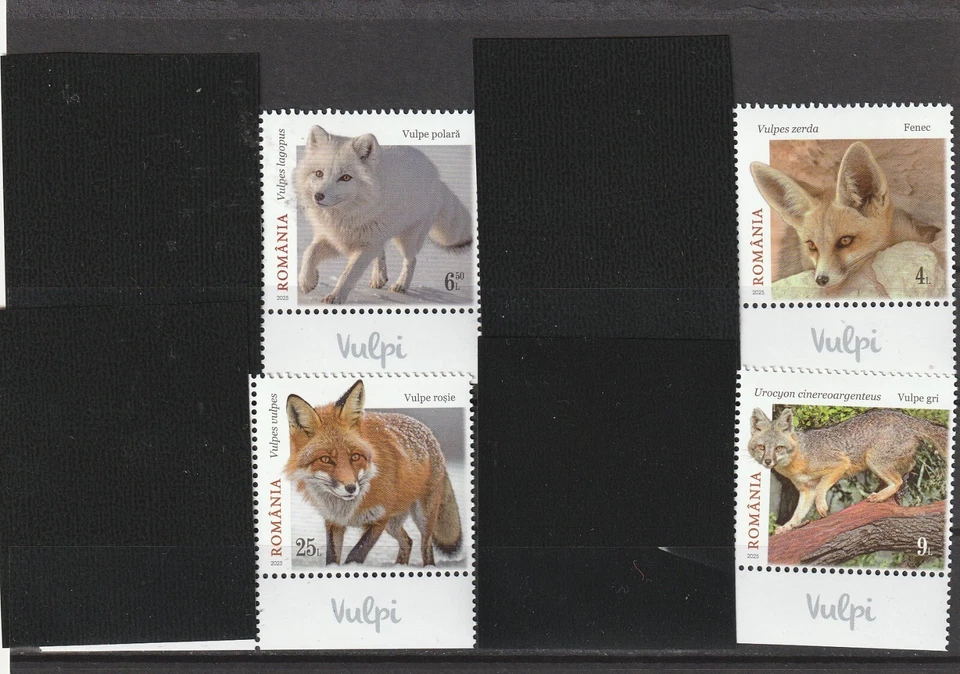 Romania STAMPS 2025 FOXES VULPI MNH POST SET FAUNA ANIMALS FOX - Image 1 of 1
