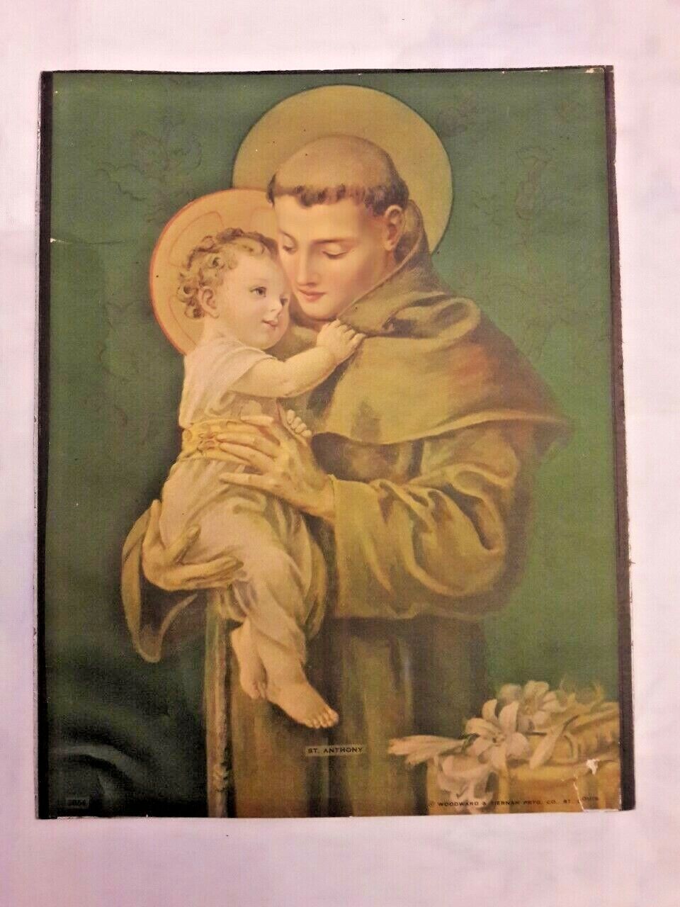 Foto 2 di 12