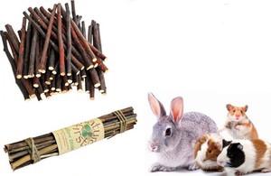 willow sticks for hamsters