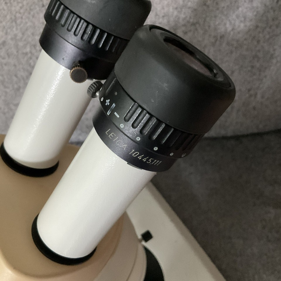 Leica Wild Stereo Microscope MZ8 eBay