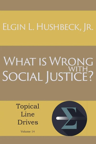 Jr. Elgin L. Hushbeck | What Is Wrong With Social Justice | Taschenbuch (2014)-image