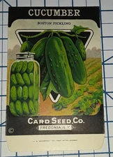 1920s CUCUMBER Vegetable Seed Packet - NOS Fredonia Ny Vintage Brand Co Us Farm
