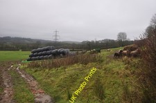 Photo A3 Mid Devon : Sheep & Hay Bales Morebath Bales of hay kept dry fo c2011