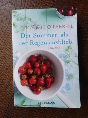 Der Sommer als der Regen ausblieb Roman Maggie O`Farrell
