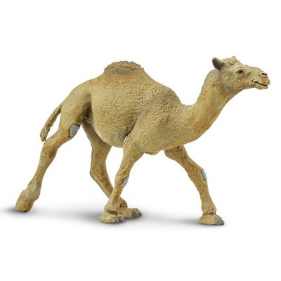 Safari Ltd. Dromedary Camel Figurine - Lifelike, Hand-Painted 5.75'' Model Fig...