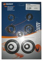 Tecnium Satz Motor-Simmerringe FüR Honda CRF 250 X (ME11) 2004-13