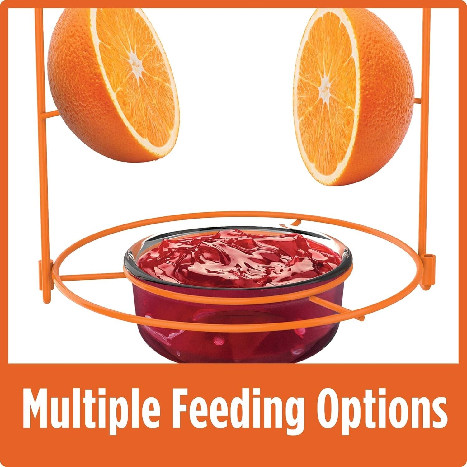 Attract Beautiful Orioles with Our Durable 12 oz Wire Feeder - Ant Moat Included