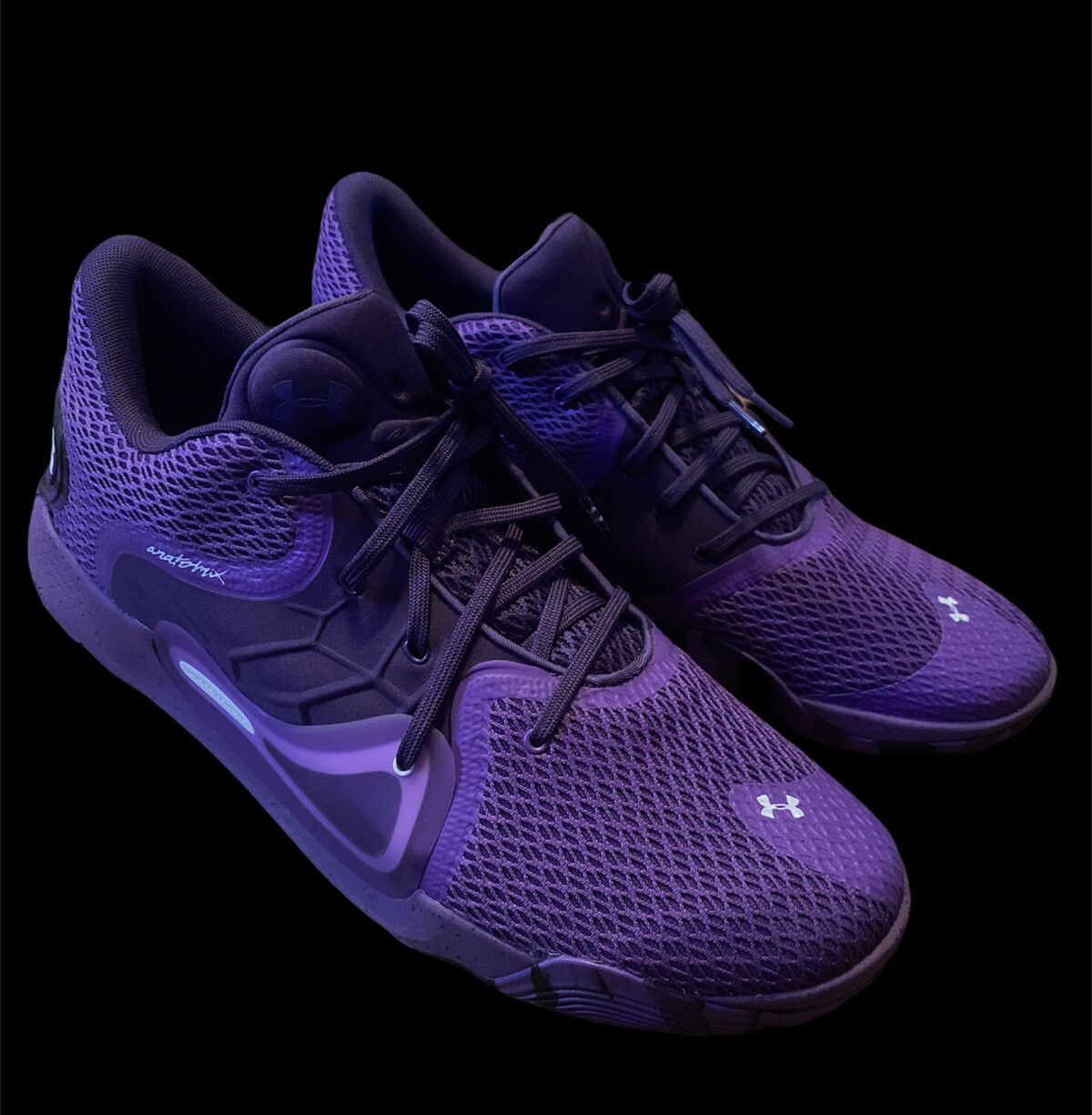 anatomix spawn 2 purple