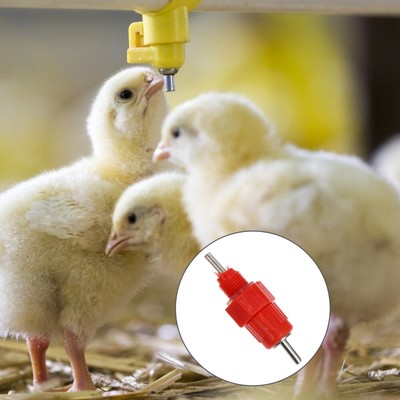  20 Pcs Hühnertränke Baby Landwirtschaftliche Fütterungsausrüstung