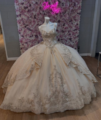 Princess Light Champagne Quinceanera Dresses with Straps Sweet 15 16 Ball  Gowns | eBay