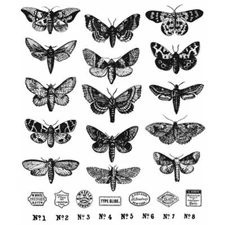 Tim Holtz Stampers Anonymous "MOTH STUDY" Rubber Cling Stamps Set 2021