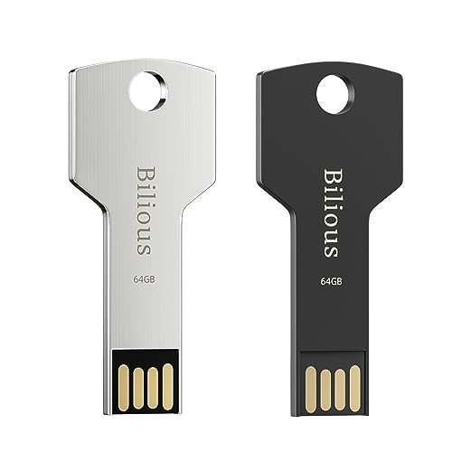 USB Keychain Flash Drive 2PCS 64GB, Metal Style Thumb Drive Portable USB 2.0