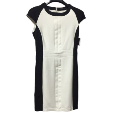 Zara Basic Small Black and White Panel Dress NWT