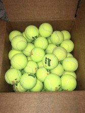 12 Tennis Balls/Floor Protector, Walkers/Dog Toys, Training