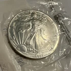 U.S. Mint American Silver Eagle 1987 1 oz .999 Fine Silver Coin