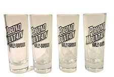 Harley Davidson Pocono Mountain Shot Glass Set Of 4 NEW 4" High Tall Skinny Penn