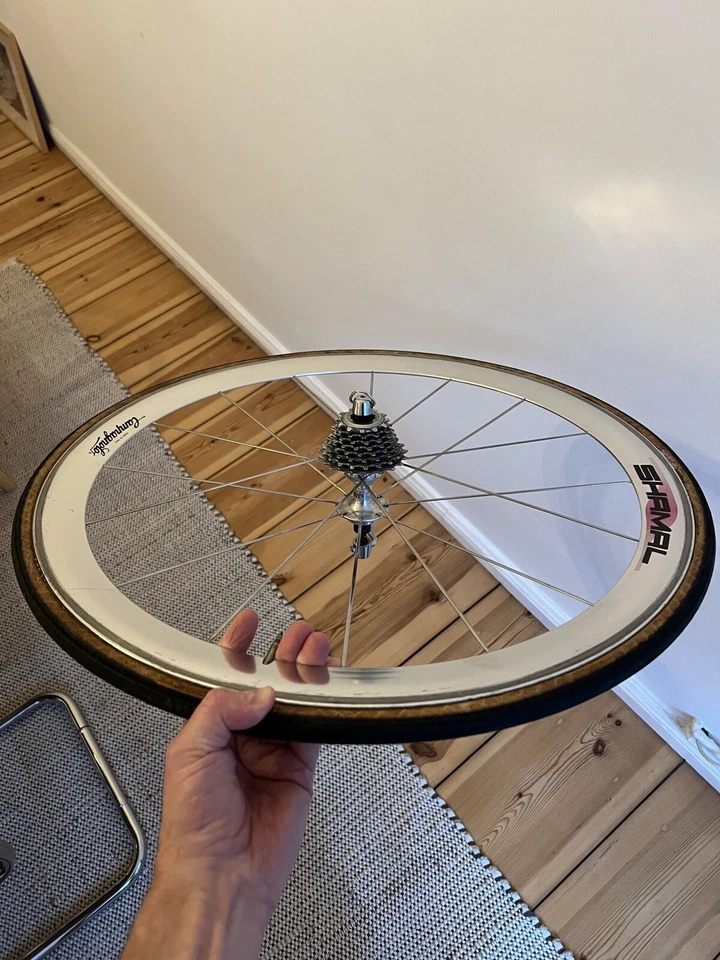 Campagnolo Shamal 2nd Generation 26“ (650C) Tubular Rear Wheel Titanium