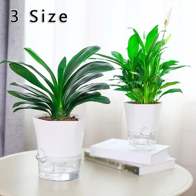 Pot de plantation de fleurs transparent auto-arrosant pour plantes récipient en - Photo 1/4
