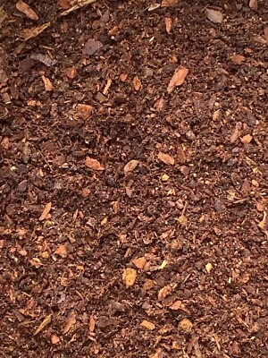 OOSTERBEEK Franz. Pinienrinde 0-7 mm, 10 Liter Terrarium Bodengrund Schildkröten Reptilien