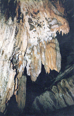 Stalactite Formations Penn's Cave Water Cavern Centre Hall Pennsylvania Postcard
