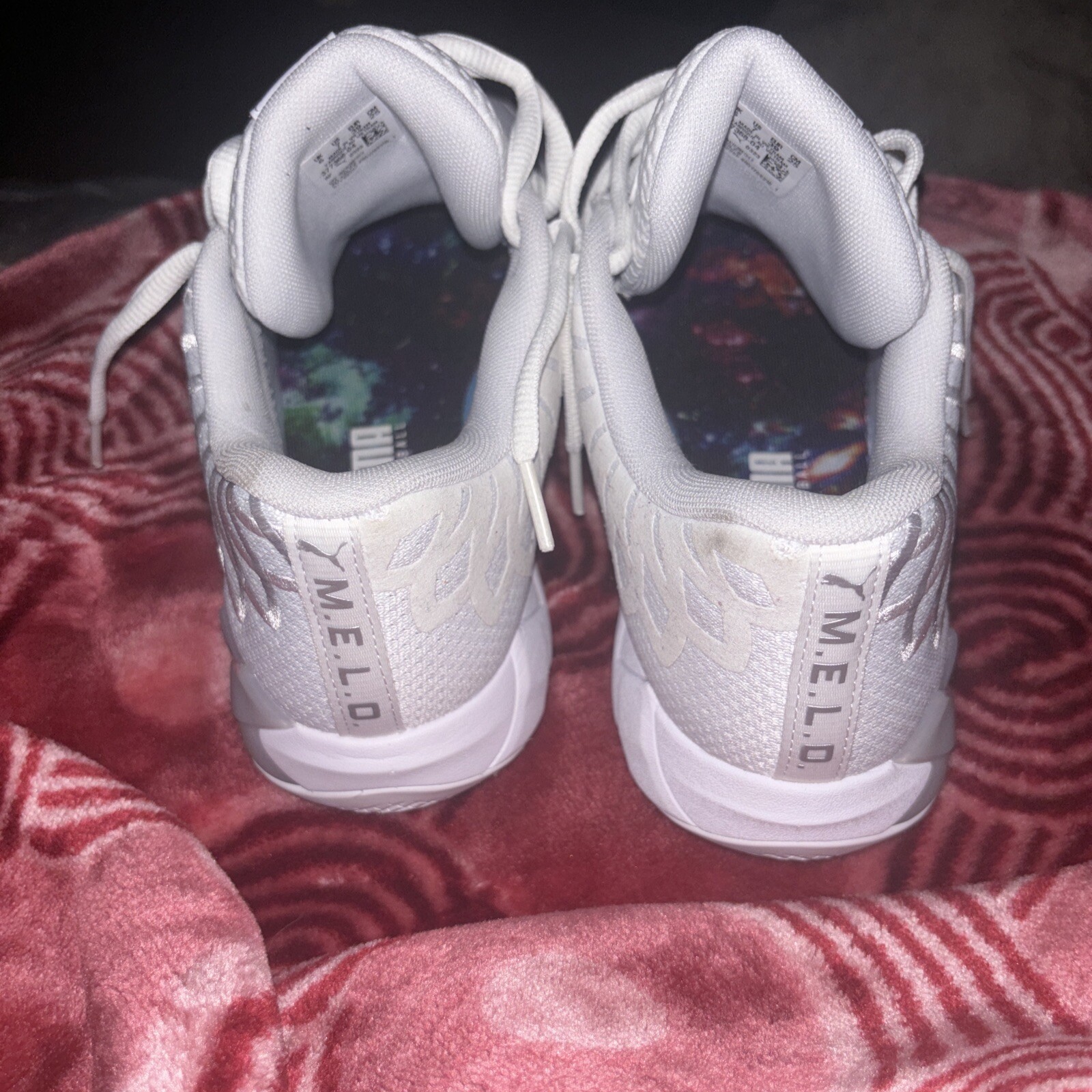 Lamelo puma - image 5