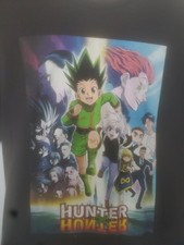 Hunter x Hunter Men's T-Shirt Black Large Manga Anime 100% Cotton Graphic Print