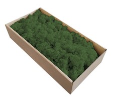Islandmoos Mittelgr&uuml;n 500g weiches Dekomoos