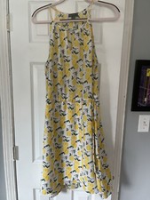 Women’s Plus Size Lemon Sundress